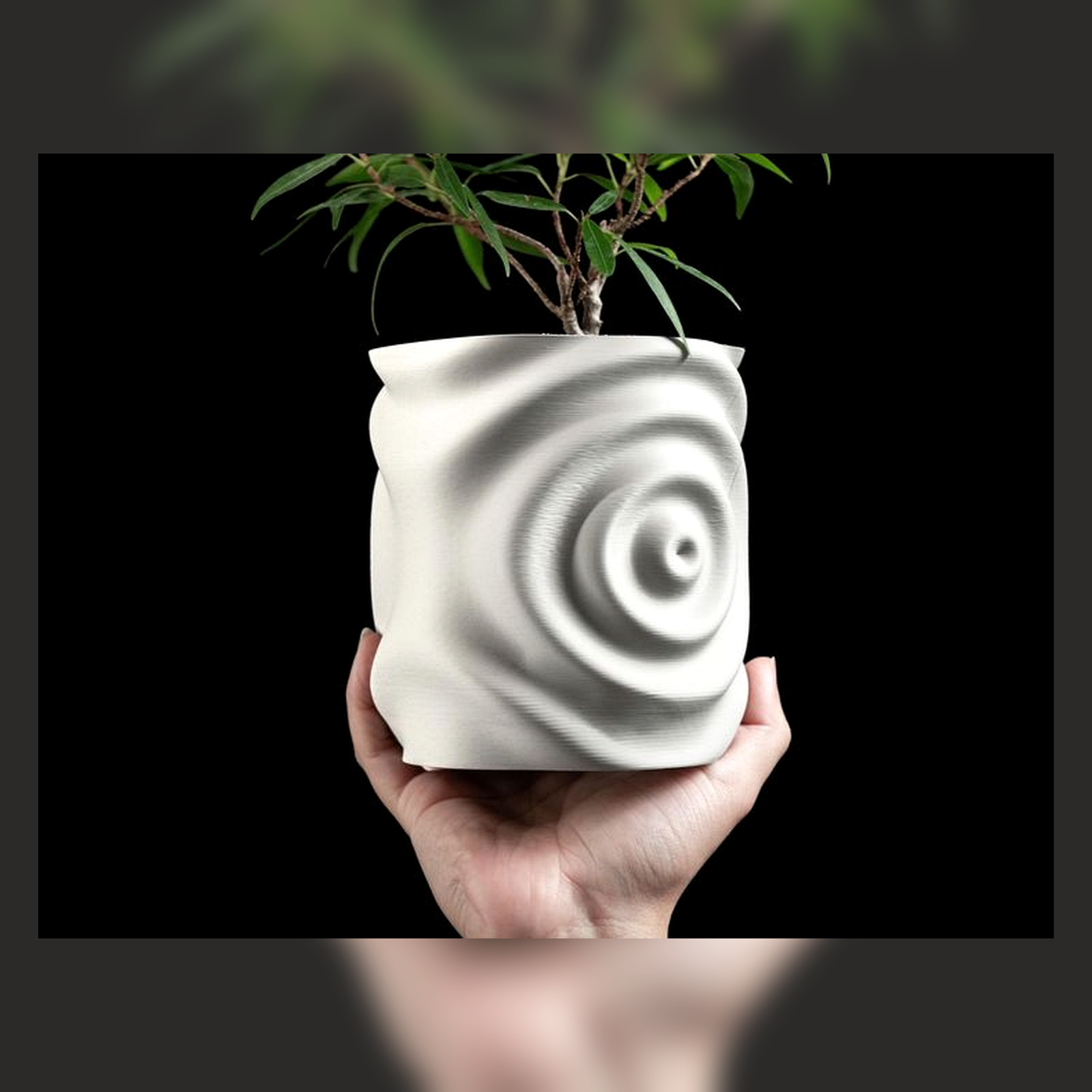 Ripple ceramic planter held in two hands for scale.